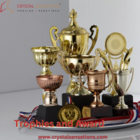 Premium Trophies and Awards – Crystal Sensation - New York Other