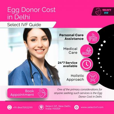 Egg Donor Cost in Delhi - Delhi Other