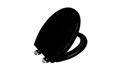 Toilet Black Seat