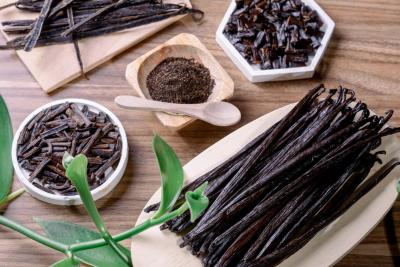 Premium Vanilla Exporter – Robust Madagascar - Toronto Other