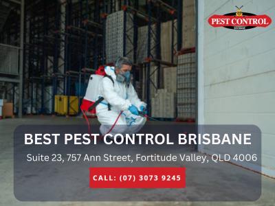 Best Pest Control Brisbane – Comprehensive Solutions