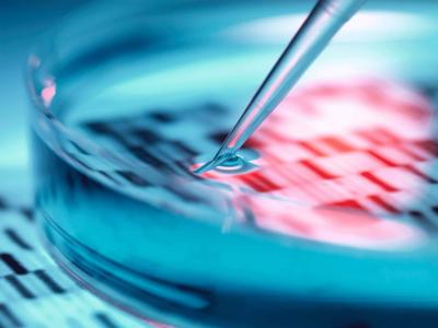 Biopharma Consulting Services for Strategic Growth