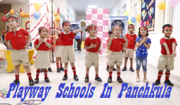 Playway Schools In Panchkula