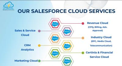 Salesforce Development Companies In Jaipur