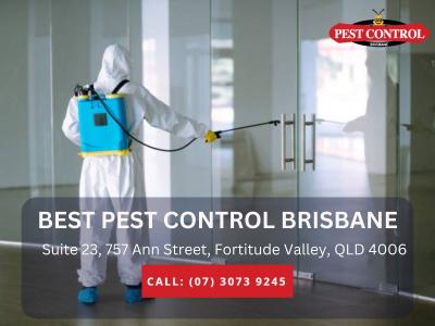 Termite Management Brisbane – Comprehensive Termite Protection