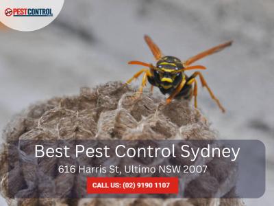 Pest Control for Commercial Buildings – Tailored Solutions