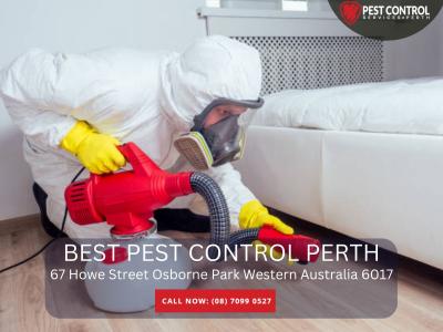 Pest Control South Perth – Local Experts for Effective Pest Solutions