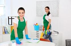 Spring Cleaning Brisbane - Brisbane Other