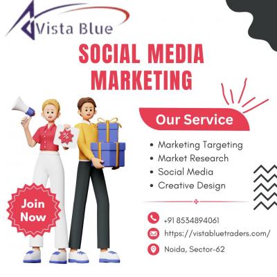 Social Media Marketing - Delhi Professional Services