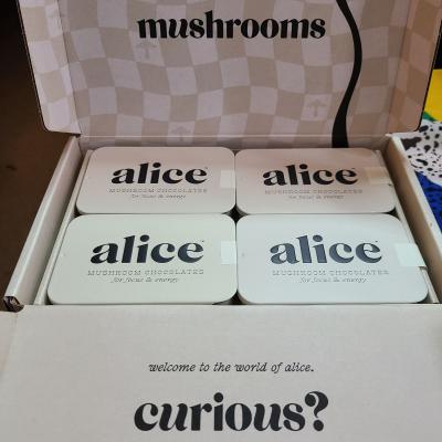  Alice Mushroom Chocolate Online 