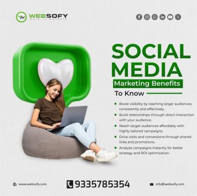 Maximize Your Online Presence with Websofy Software Pvt Ltd