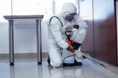 Bed Bugs Exterminators Flushing - New York Other
