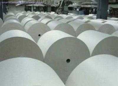 Mirror Coat Sheet - Kolkata Other