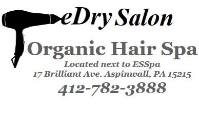 pittsburgh salon - Philadelphia Other