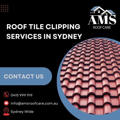 Roof Tile Clipping Services in Sydney