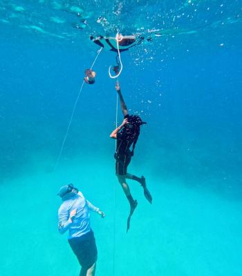 Bayahibe Full Day Freediving | Freedivingdr.com - Other Other