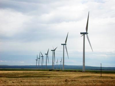 Expert Wind Turbine O&M for Maximum Efficiency 