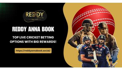 Reddy Anna Book - Premium Cricket Betting Platform