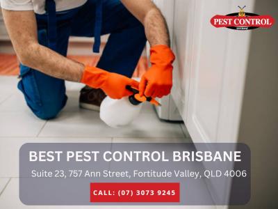 Expert Pest Control Fortitude Valley – Fast & Reliable