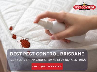 Professional Pest Control South Brisbane – Your Local Experts