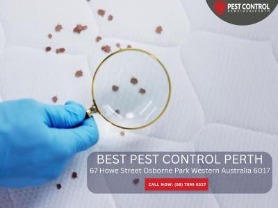 Pest Control Perth – Your Trusted Local Experts