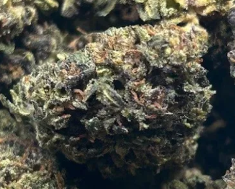 Wholesale THCA Flower - Other Professional Services