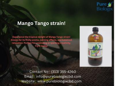 Mango Tango Strain – Best Price, High Quality