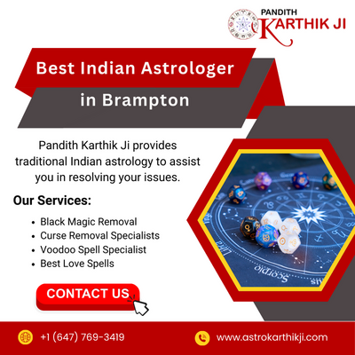 Best Indian Astrologer in Brampton - Other Other