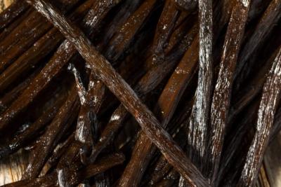 Premium Bourbon Vanilla for Export – Robust Madagascar