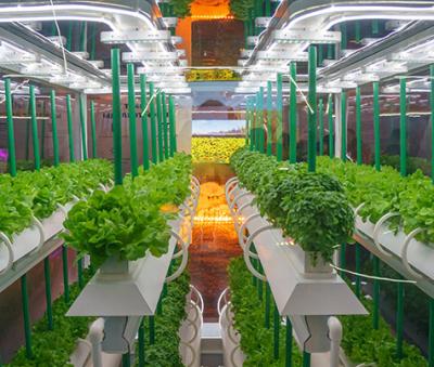 Cannabis Investment Market Analysis - Other Other