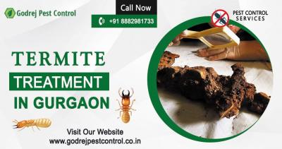 Effective Termite Treatment in Gurgaon – Godrej Pest Control - Gurgaon Other