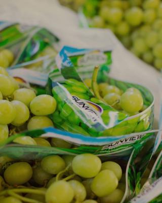 Sweet Table Grape Varieties - Other Other