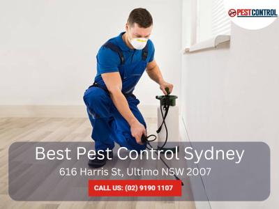 Rat Exterminator Sydney – Fast & Effective Extermination