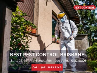 Comprehensive Pest Inspections in Brisbane – Get the Facts You Need