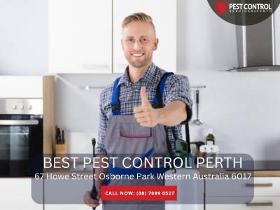Commercial Pest Exterminator in Perth – Protect Your Business from Pests