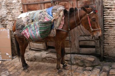 Lifestyle Photography by Martin Worster