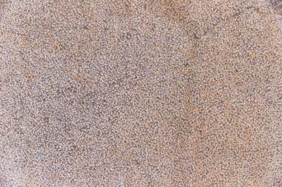 Stone Carpet Dubai