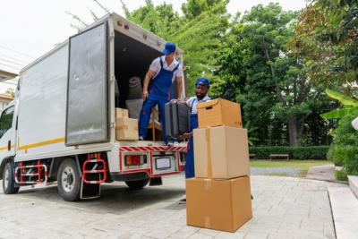 Furniture Movers and Packers Dubai - Dubai Professional Services