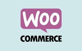 woocommerce development company in gurugram - Sharjah Professional Services