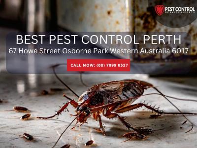  Reliable Commercial Pest Control in Perth for Business Protection