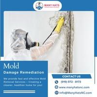 Mold damage remediation in Durham|Mold damage remediation  in Cary