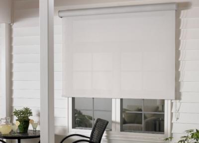 Shop Roller Shades Online