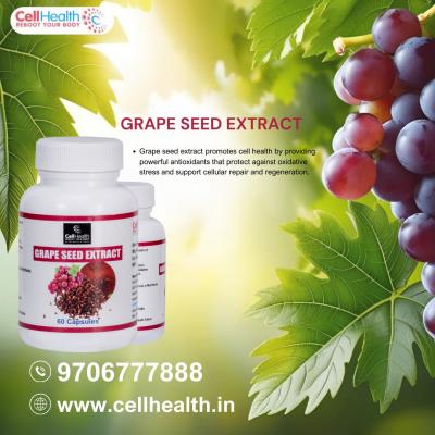 Empower Your Body: Health Supplements for Optimal Wellness