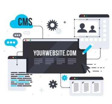 Custom WordPress Web Design Services in Denver by Netlynx Inc - Other Other