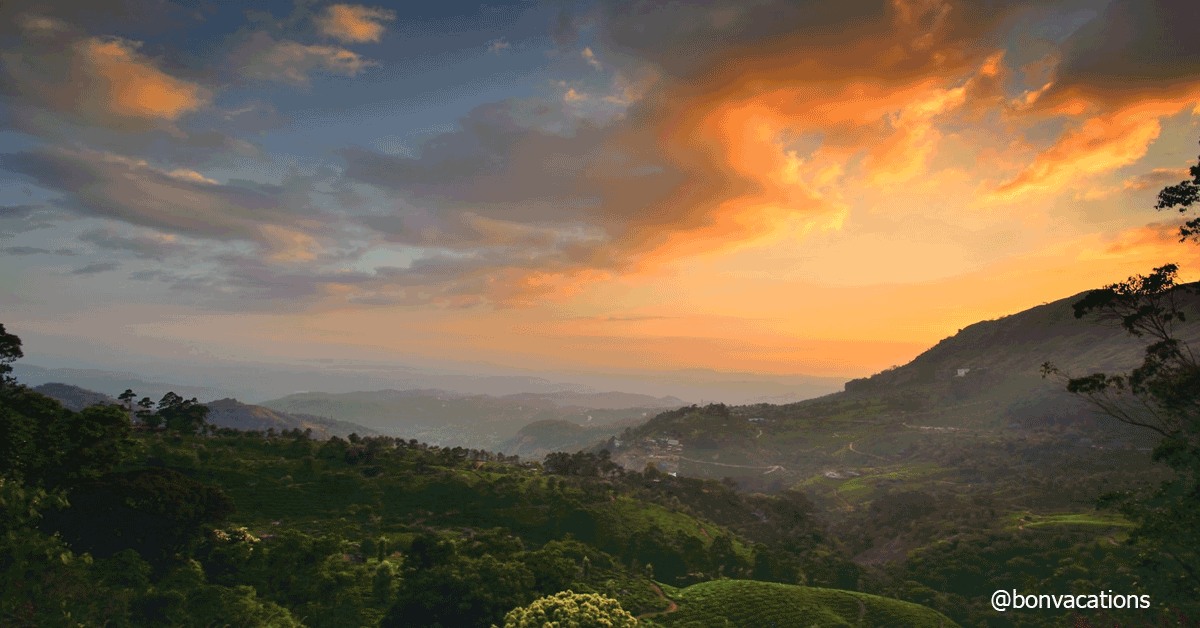  Beautiful Kerala | Cochin – Munnar – Thekkady – Alleppey - Amritsar Other