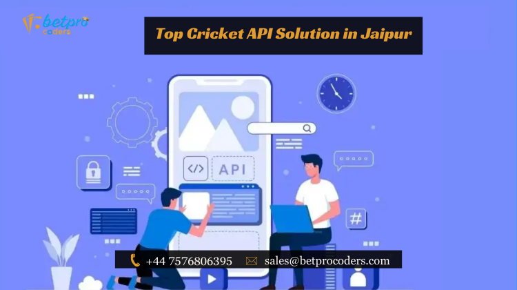 Top Cricket API Solution in Jaipur