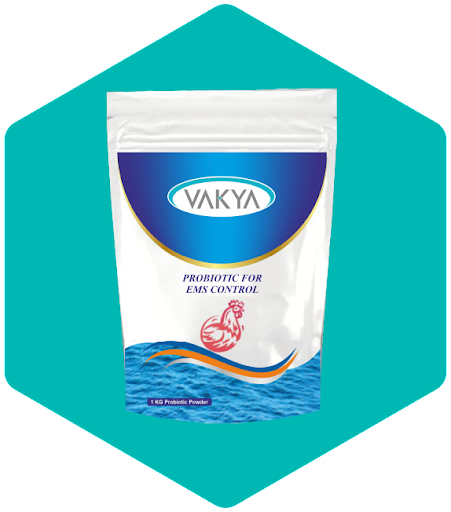 What is a Probiotic Drink