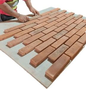 Wire Cut Bricks Price