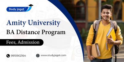  Amity University BA Distance Programs
