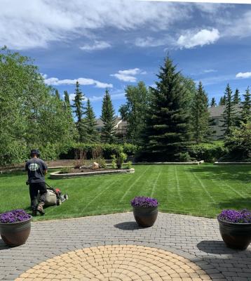 Lawn Maintenance Toronto - Other Other